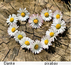 Danke